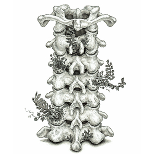 国产剧情麻豆mv
