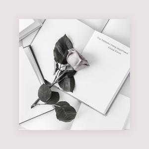 国产剧情麻豆mv
